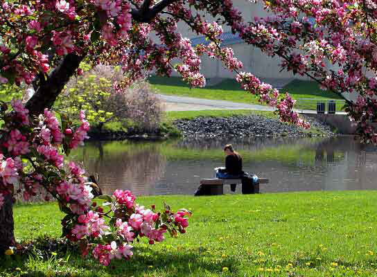 student in front of campus pond