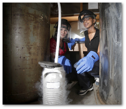 Students doing laboratory work