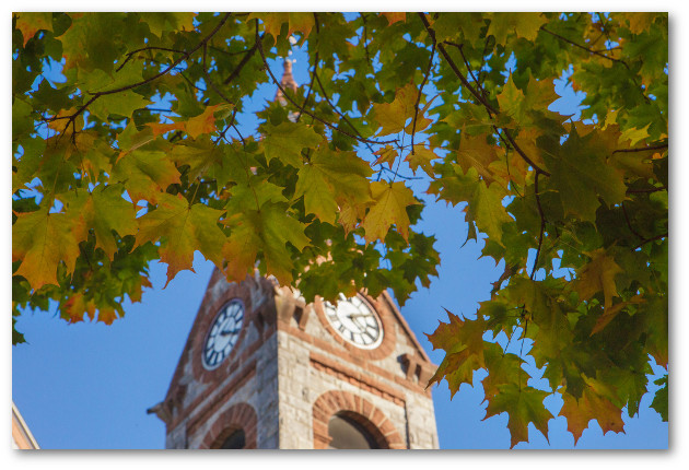 Old Chapel behind tree leaves