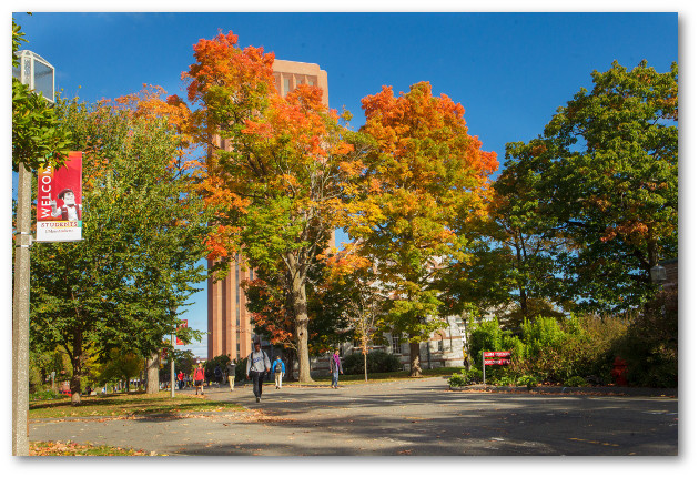 Center of campus near Memorial Hall