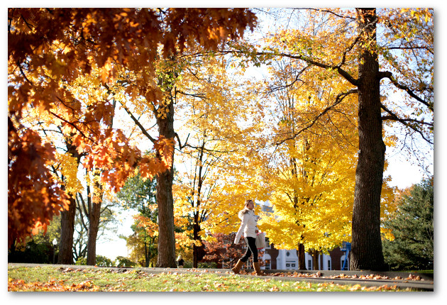 Student walking in autumn foliage