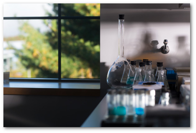 Flasks and test tubes containing blue liquids sit on the counter in a darkened corner of a chemistry lab. An adjacent window shows soft-focus branches from a nearby tree.