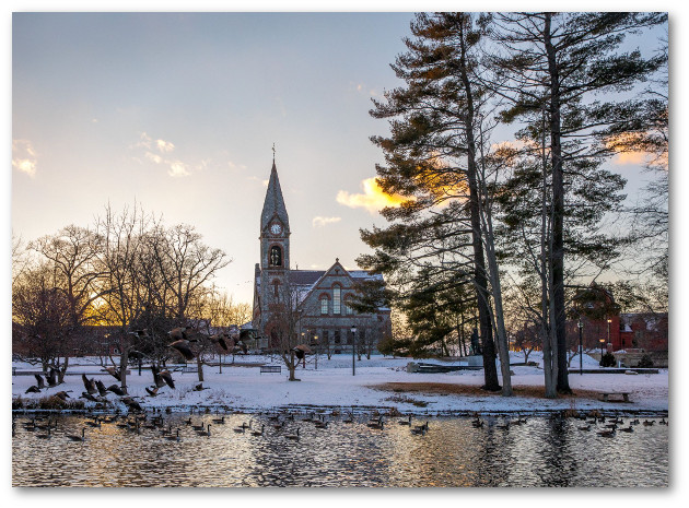 Looking across the campus pond towards Old Chapel at dusk in winter.  Snow covers the ground, and a few sparse clouds reflect golden yellow light from the setting sun. A large flock of geese swim in the pond.