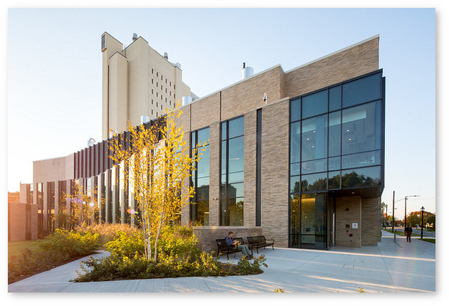 The Physical Sciences building facade features multi-story windows separated by stone panels. A young birch tree with yellow fall leaves occupies a small garden in the foreground. The Lederle Graduate Research Tower stands in the background.