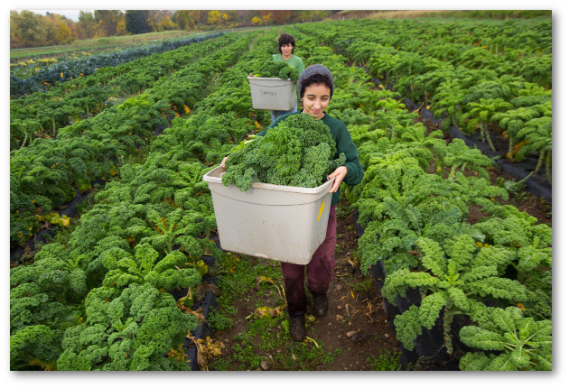 Student farmers