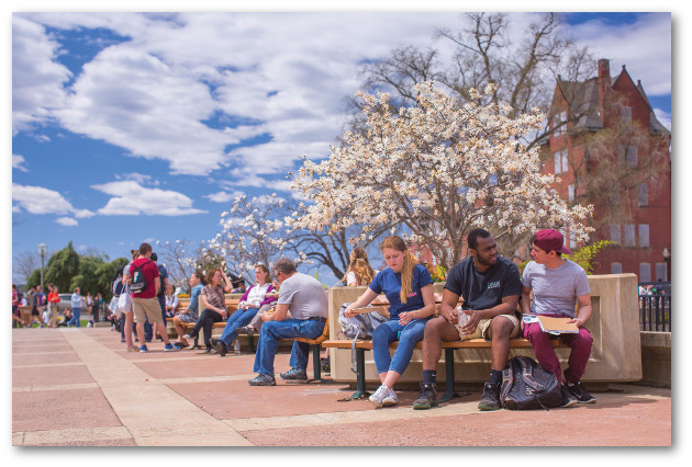 Students on benches near South College and the library