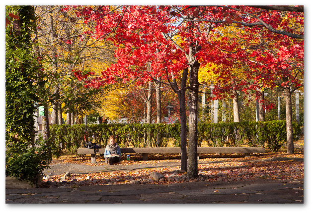 Student sitting on bench on fall foliage