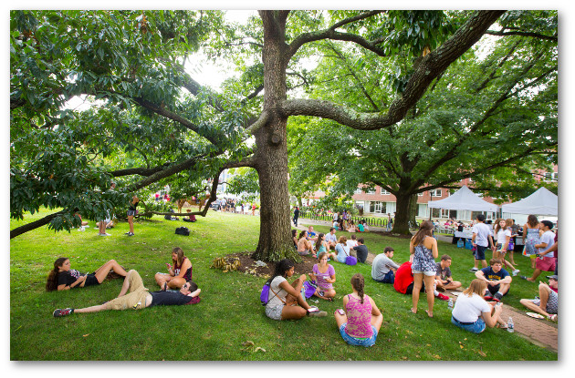 Students gathered under large trees