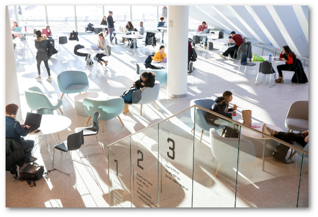 Students study in the Isenberg Business Innovation Hub.  Space is light and open with sunlight streaming in through wall of windows.
