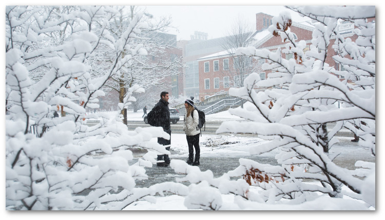 Two students talking, framed by snow-covered branches