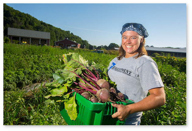 A smiling student holds a crate full of freshly harvested beets at the UMass Student Farm.