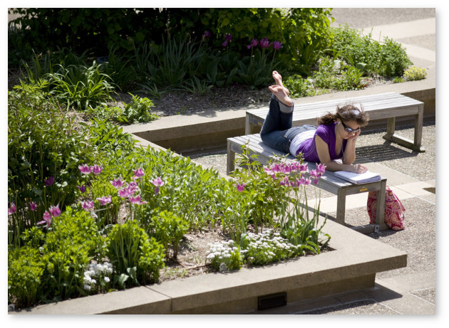 A student lies on her stomach, propped up on her elbows with her bare feet in the air on a bench in the sunny library courtyard, studying an open book on the bench in front of her. Her pink backpack is on the ground next to the bench. The courtyard contains paved walking areas and large raised planters.