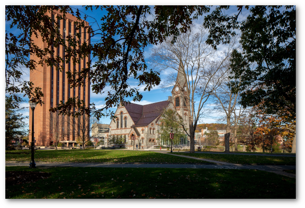 Old Chapel and the Dubois library. The image is framed by tree branches in shadow.