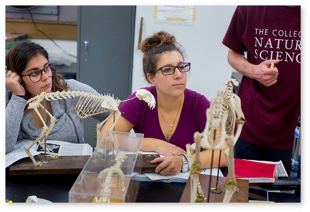 Three students at their desks in Biology class, two sitting and one standing. They have models of small animal skeletons on their desks.